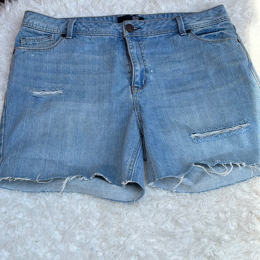 Women’s 5 Pocket Denim  Distressed Shorts